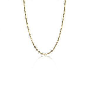 9ct Gold Anchor Chain